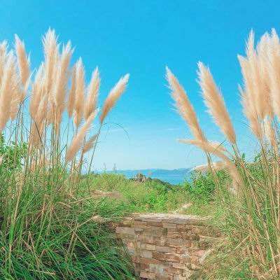 LD乐动体育官方入口