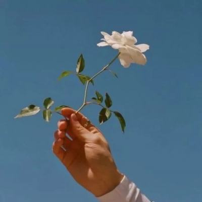 电玩城金鲨银鲨手机app下载