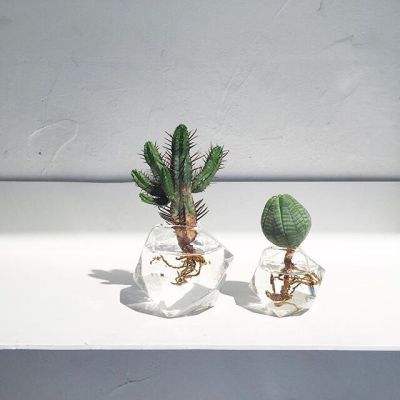 电玩城金鲨银鲨手机app下载